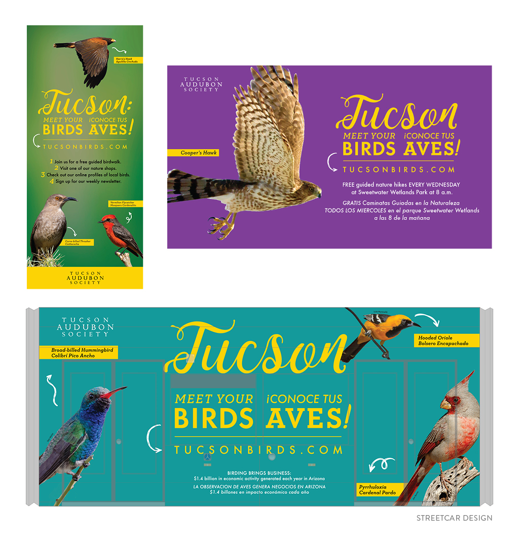 Tucson Audubon Society Tucson Meet Your Birds Marketing Campaign